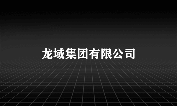 龙域集团有限公司