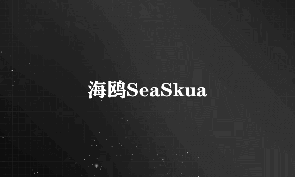 海鸥SeaSkua