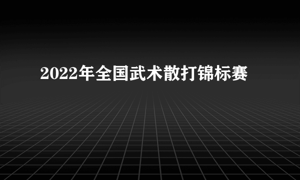 2022年全国武术散打锦标赛