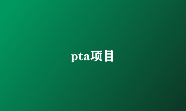 pta项目