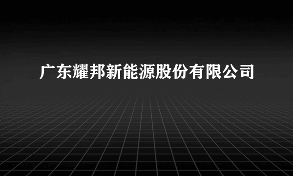 广东耀邦新能源股份有限公司