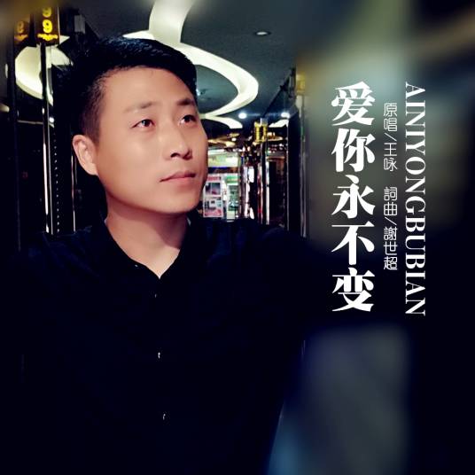 爱你永不变（王咏演唱的歌曲）