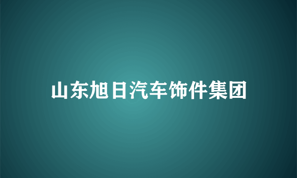 山东旭日汽车饰件集团