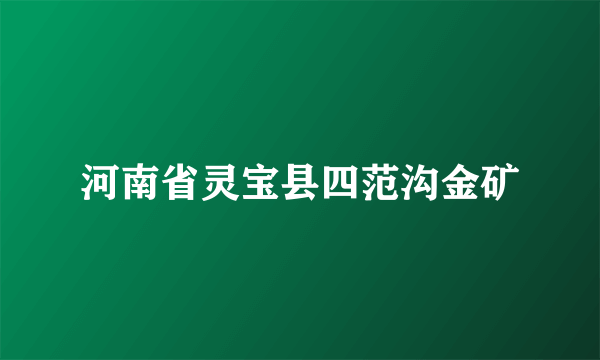 河南省灵宝县四范沟金矿