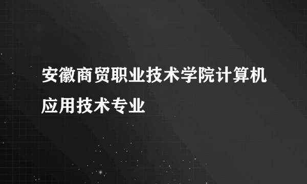 安徽商贸职业技术学院计算机应用技术专业