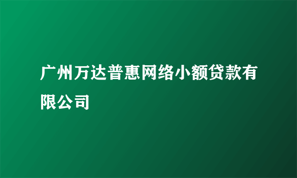 广州万达普惠网络小额贷款有限公司