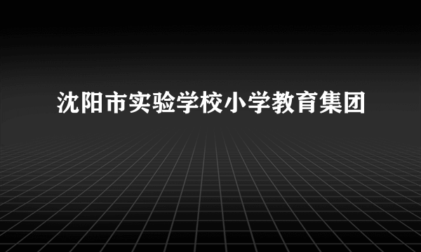 沈阳市实验学校小学教育集团