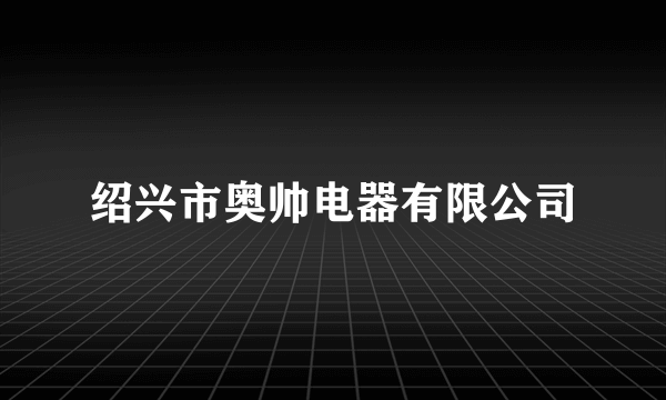 绍兴市奥帅电器有限公司