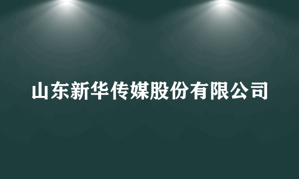 山东新华传媒股份有限公司