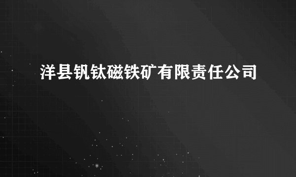 洋县钒钛磁铁矿有限责任公司