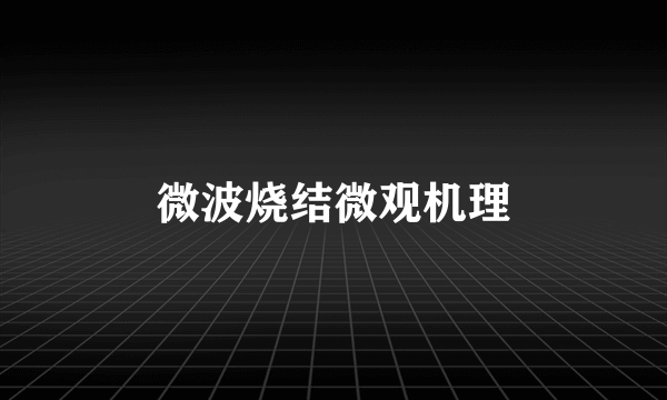 微波烧结微观机理