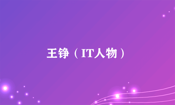 王铮（IT人物）