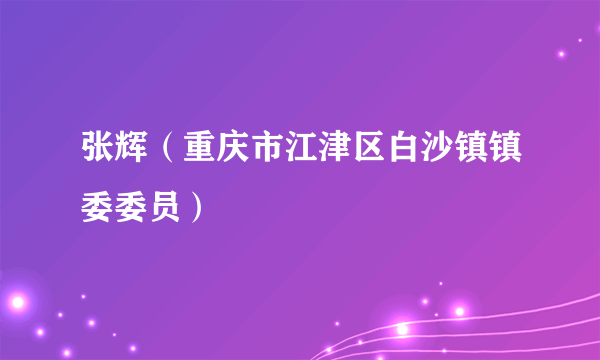 张辉（重庆市江津区白沙镇镇委委员）