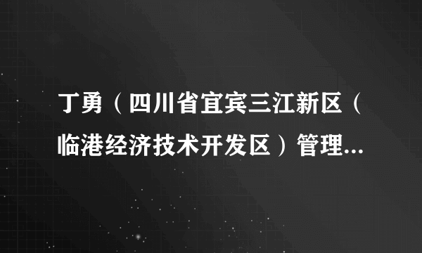 丁勇（四川省宜宾三江新区（临港经济技术开发区）管理委员会内设机构主要负责人）