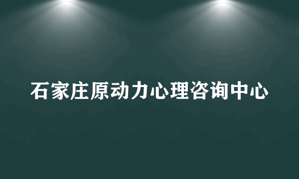 石家庄原动力心理咨询中心