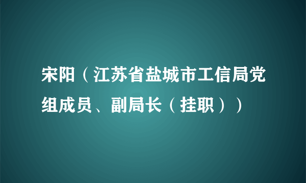 宋阳（江苏省盐城市工信局党组成员、副局长（挂职））