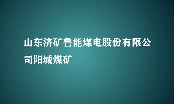 山东济矿鲁能煤电股份有限公司阳城煤矿