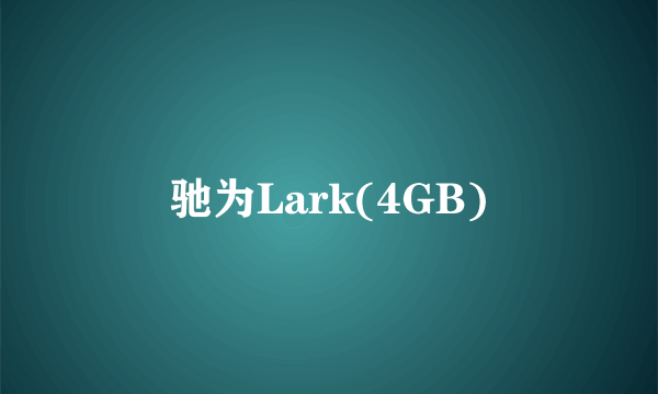 驰为Lark(4GB)