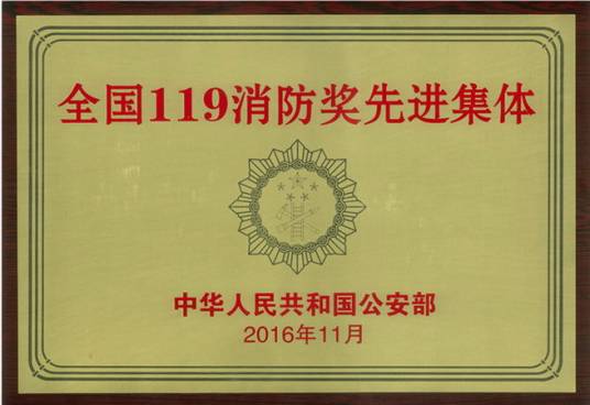 全国119消防奖