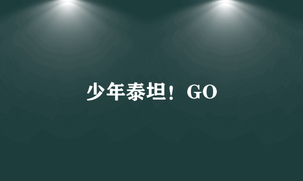 少年泰坦！GO