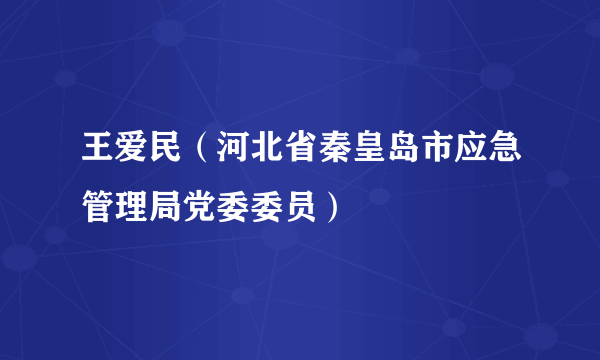 王爱民（河北省秦皇岛市应急管理局党委委员）