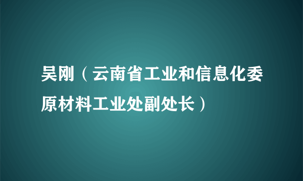 吴刚（云南省工业和信息化委原材料工业处副处长）