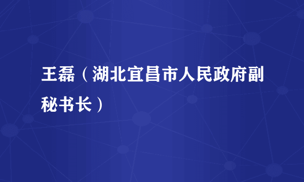 王磊（湖北宜昌市人民政府副秘书长）