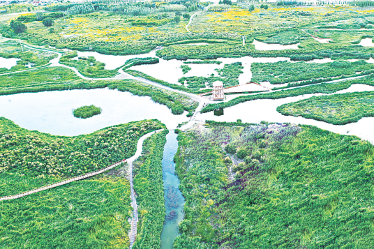 甘肃兰州秦王川国家湿地公园