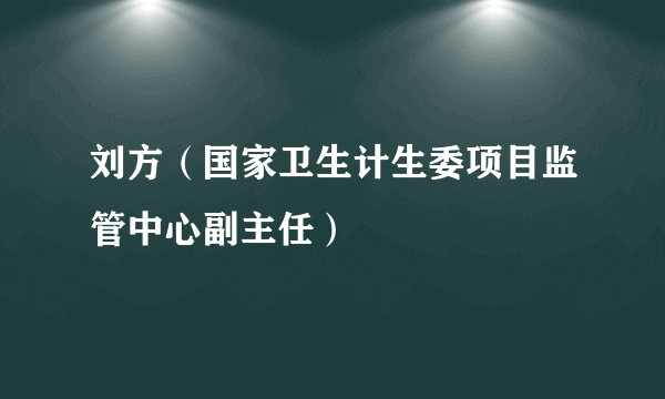 刘方（国家卫生计生委项目监管中心副主任）