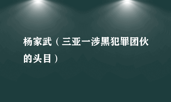 杨家武（三亚一涉黑犯罪团伙的头目）