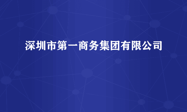 深圳市第一商务集团有限公司