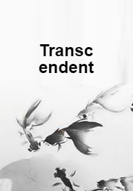 Transcendent（安芙特歌洛创作的网络小说）