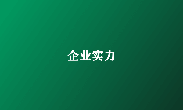 企业实力