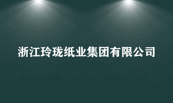 浙江玲珑纸业集团有限公司