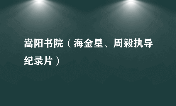 嵩阳书院（海金星、周毅执导纪录片）