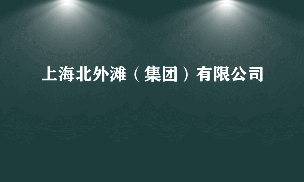 上海北外滩（集团）有限公司