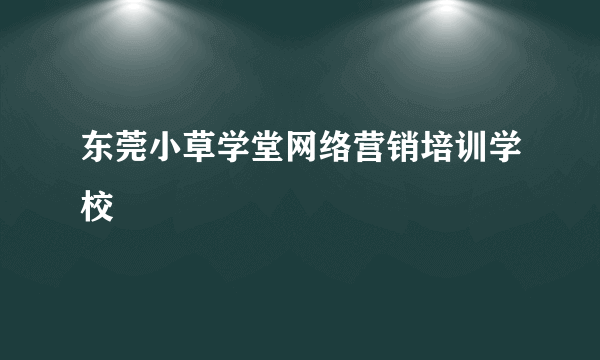 东莞小草学堂网络营销培训学校