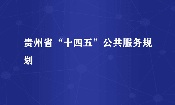 贵州省“十四五”公共服务规划