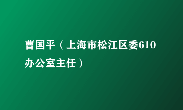 曹国平（上海市松江区委610办公室主任）