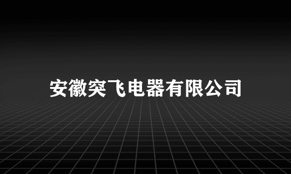 安徽突飞电器有限公司