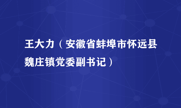 王大力（安徽省蚌埠市怀远县魏庄镇党委副书记）