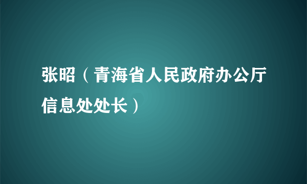 张昭（青海省人民政府办公厅信息处处长）