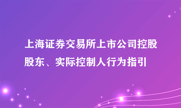 上海证券交易所上市公司控股股东、实际控制人行为指引