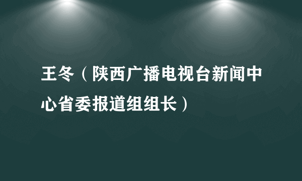 王冬（陕西广播电视台新闻中心省委报道组组长）