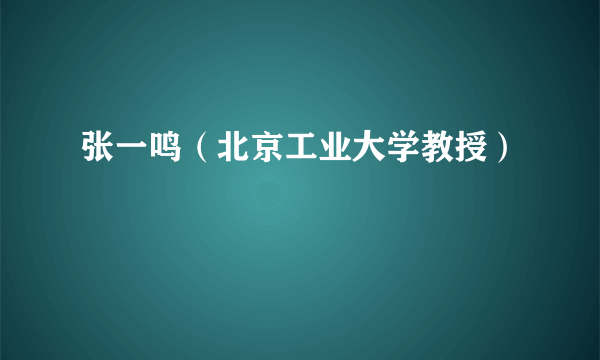 张一鸣（北京工业大学教授）