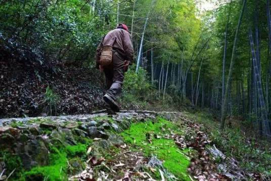 黄泥岭古道