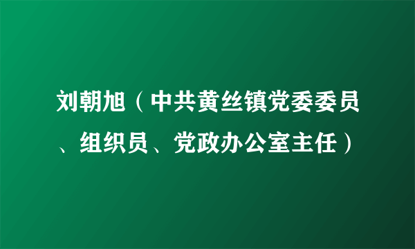 刘朝旭（中共黄丝镇党委委员、组织员、党政办公室主任）