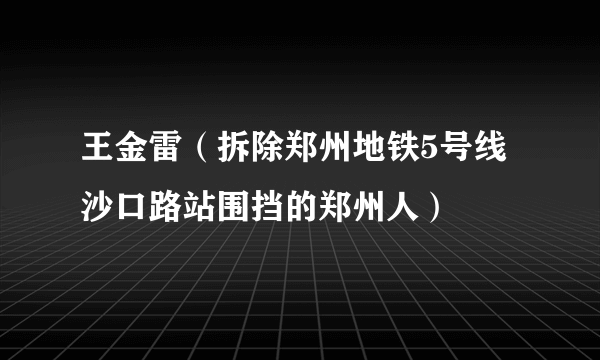 王金雷（拆除郑州地铁5号线沙口路站围挡的郑州人）