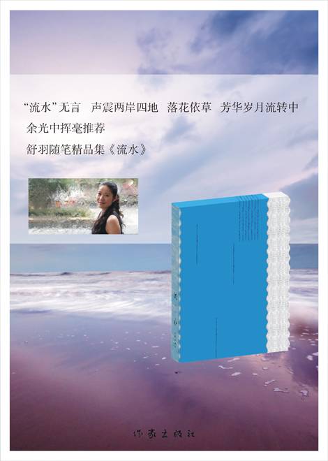 流水（2013年作家出版社出版的图书）