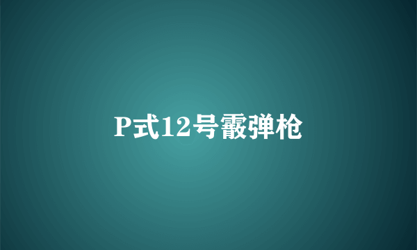 P式12号霰弹枪